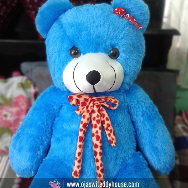 Ojaswi handcrafted teddy bear